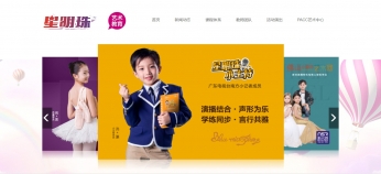 明珠芭蕾舞seo優(yōu)化案例